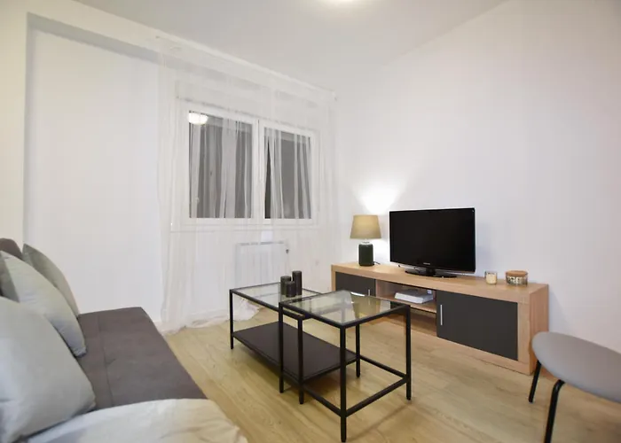 Bajo Alfonso X Apartamento